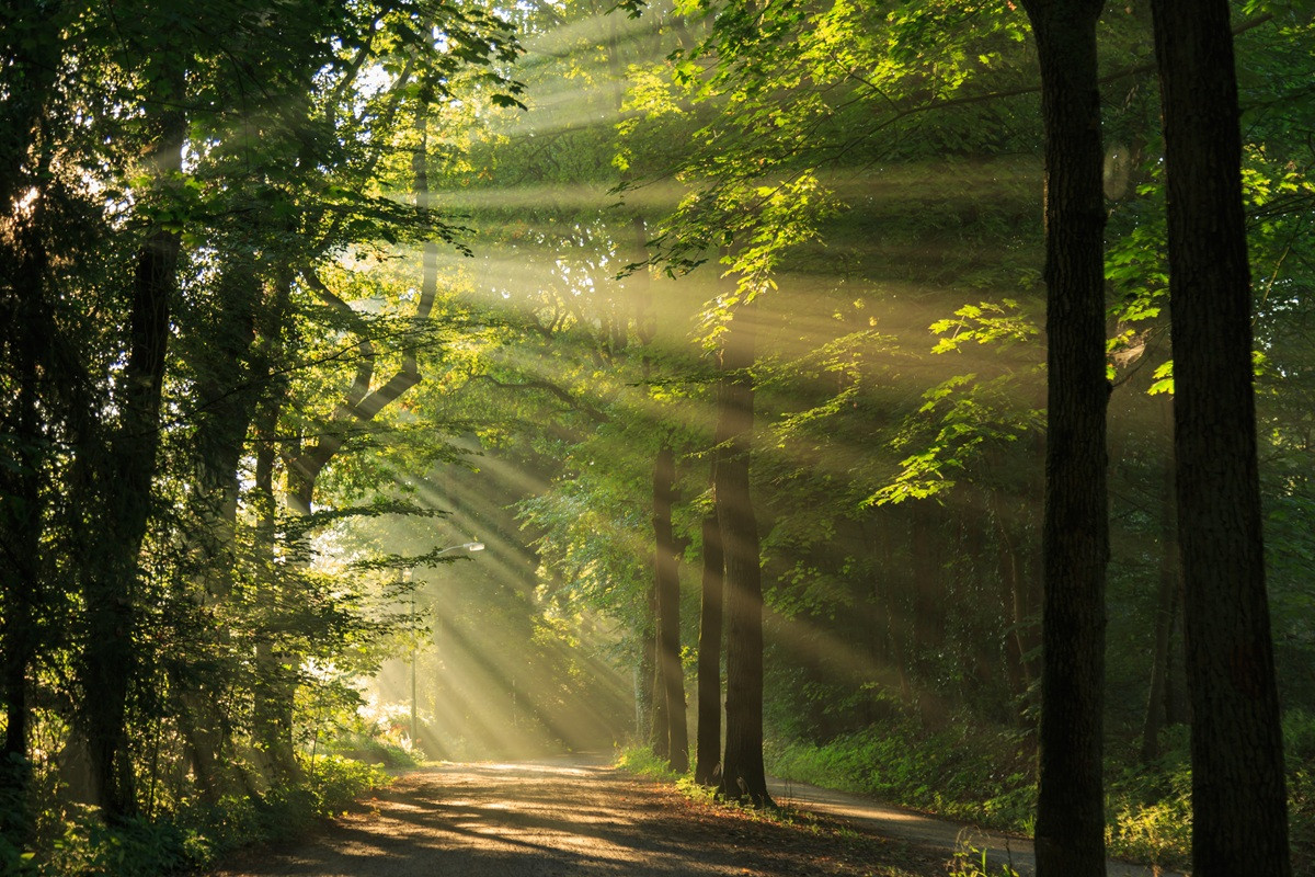 Featured image for “Een landgoed in de erf- of schenkbelasting”