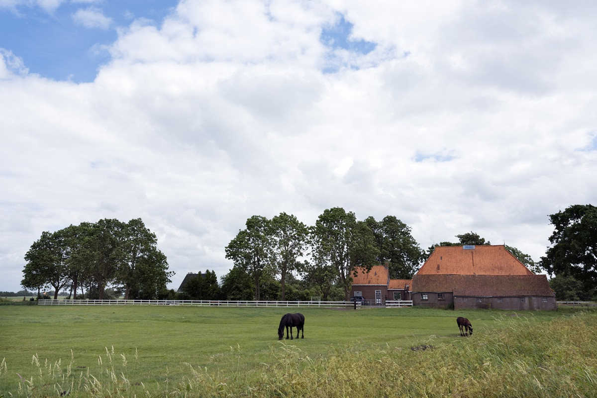 Featured image for “Woonboerderij met schuur, paardenbak en weiland: 10,4% of 2% overdrachtsbelasting?”